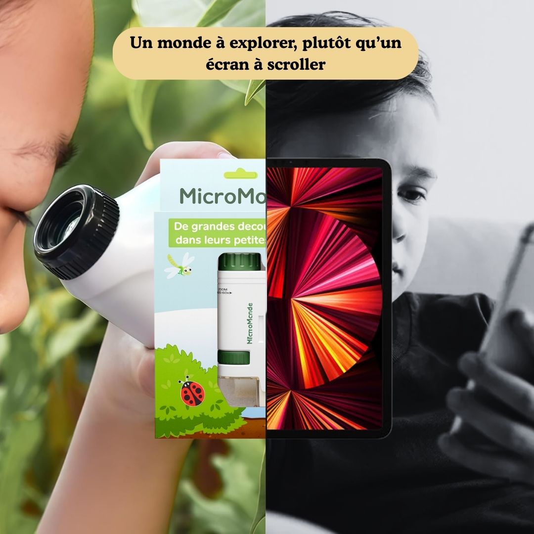 MicroMonde™ : De grandes découvertes dans leurs petites mains