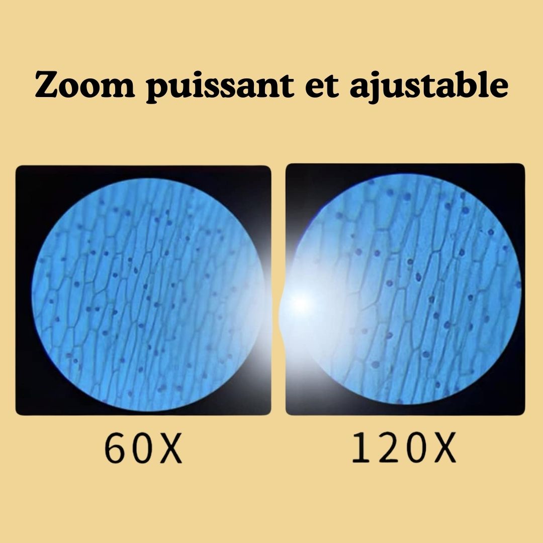 MicroMonde™ : De grandes découvertes dans leurs petites mains