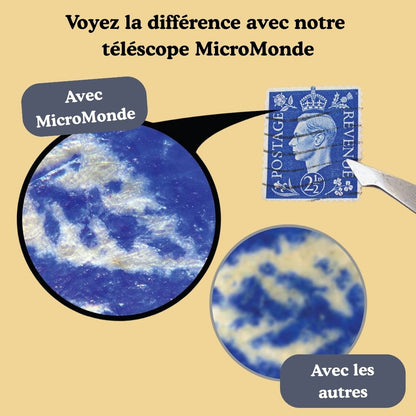 MicroMonde™ : De grandes découvertes dans leurs petites mains